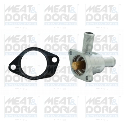 Thermostat, coolant